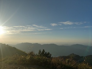 1000486264