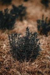 5446891F-DFD9-4FF5-8C6D-6BB814C69911/L0/001