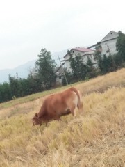 340258