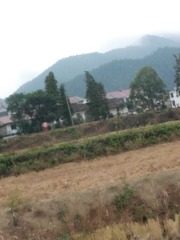 340262