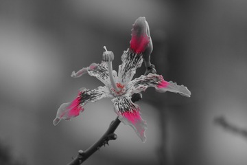 1580516