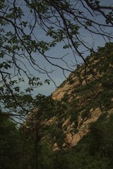 DSCF6678