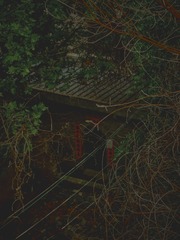 DSCF6784