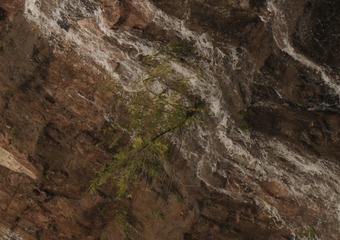 DSCF6772