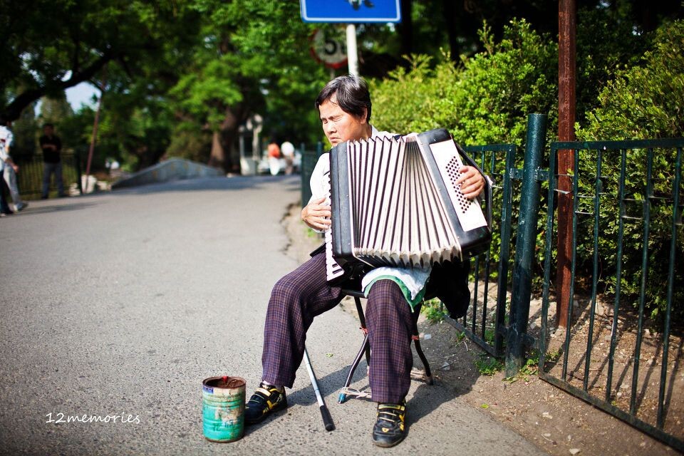 风烛残年里的寂寞之歌<br />
风烛残年里的寂寞之歌 —— 拍摄于北京香山公园东门外 2010.5.24