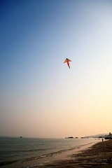 海上的风筝