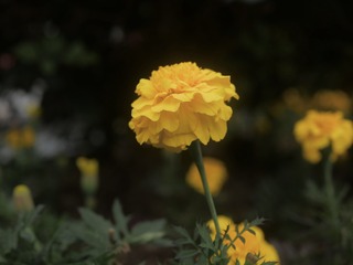 B95DFBE3-C3BB-491B-B5CB-35AA3614F471/L0/001