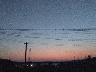 101