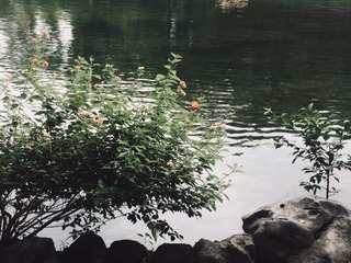 1000016186