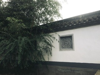1000016223