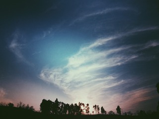 2606614