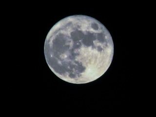 1203EB1C-E5A6-494C-9E4D-5D11074DD9FF/L0/001