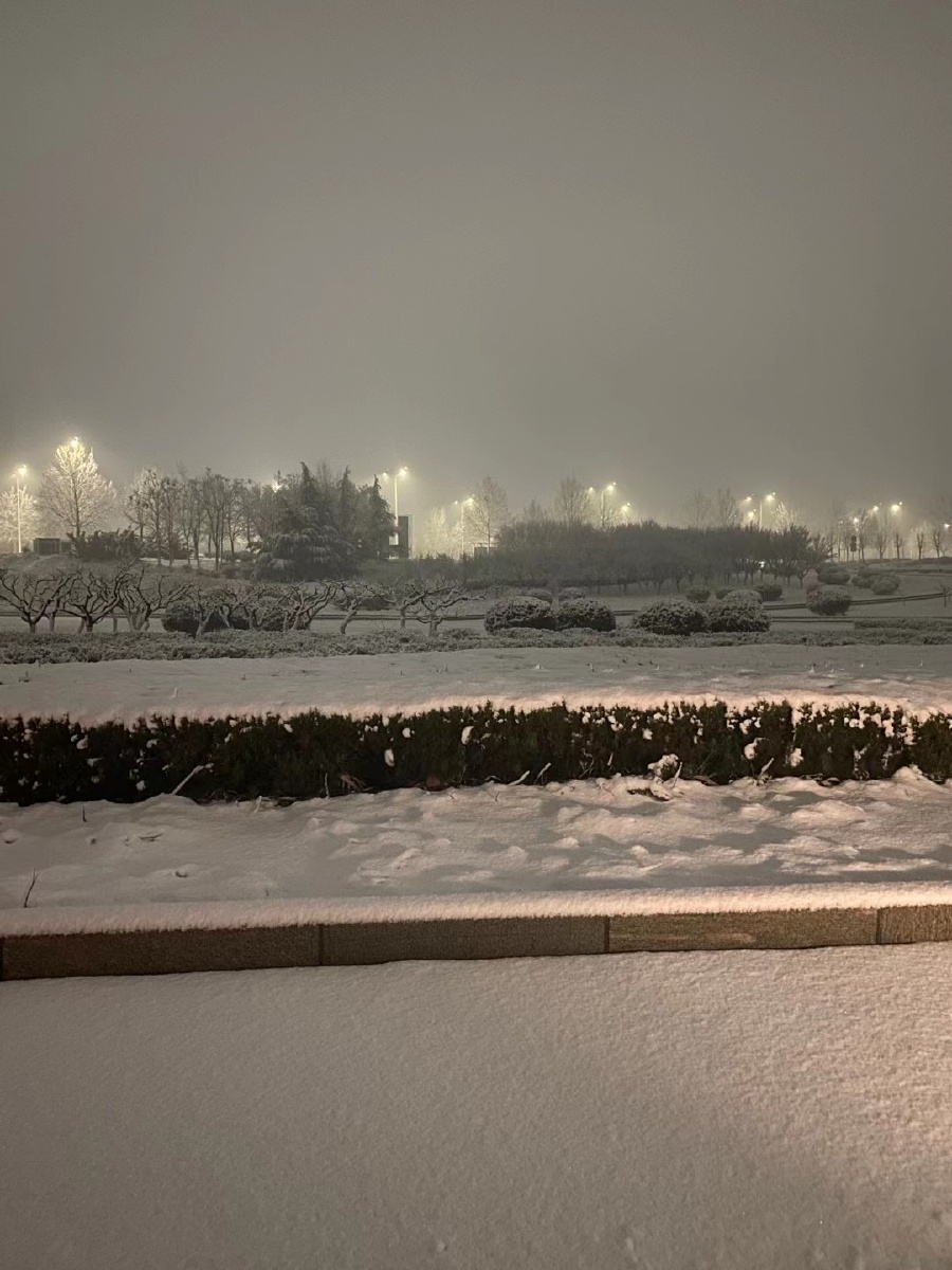 2021225泰安下雪了
