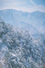 9D42AB81-1BAF-4BA7-8E26-8DE6563D9725/L0/001