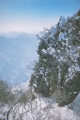 A2D9015D-CB11-48B9-8277-E26025D8AB71/L0/001