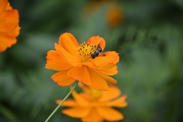 _DSC0008