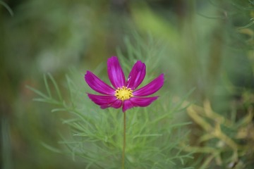 _DSC0007