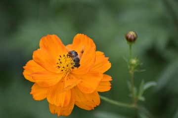 _DSC0012