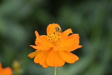_DSC0009