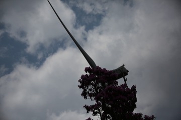 C46A0860