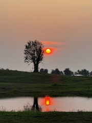 001