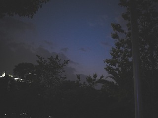 1459E8D9-8624-43F0-9533-A72E879486B7/L0/001