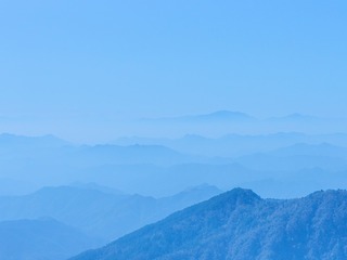 236363
