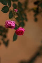847645
