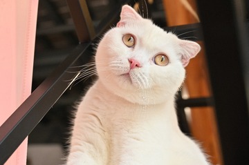 1557290