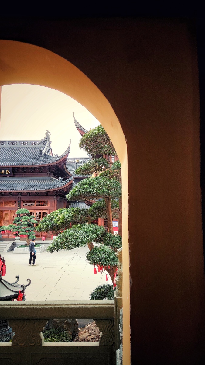 佛门悠悠深似海