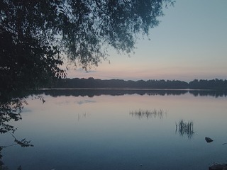 1000008176