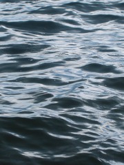 4789D1BA-6C49-484E-B22E-D90487601627/L0/001