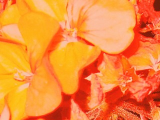 AB7D9AC9-64D7-4B61-BF81-2B37DF461F46/L0/001