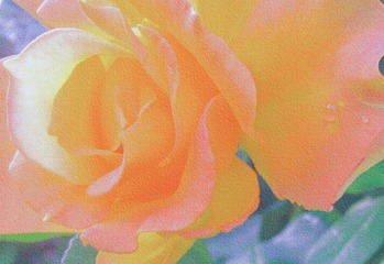 876A475D-64AD-4757-BDA0-45647101A5A4/L0/001