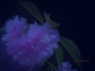 371FCC48-648E-4B73-B2E5-AA7C3E079336/L0/001