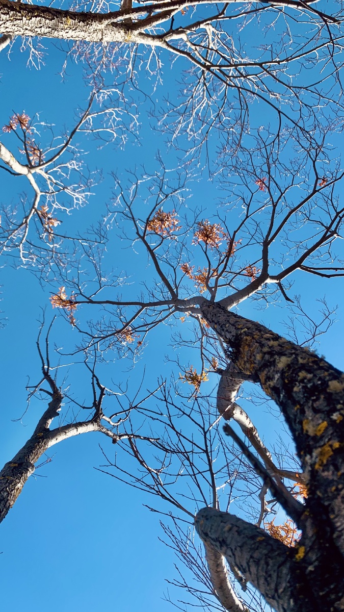 丽江的冬天也是春天