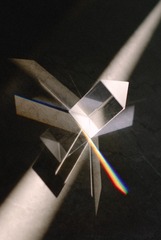 1000065363