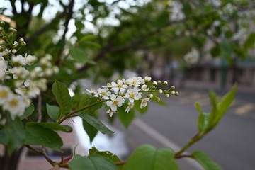 4A872BB5-13CC-4B0B-8B35-20069707FBC9/L0/001