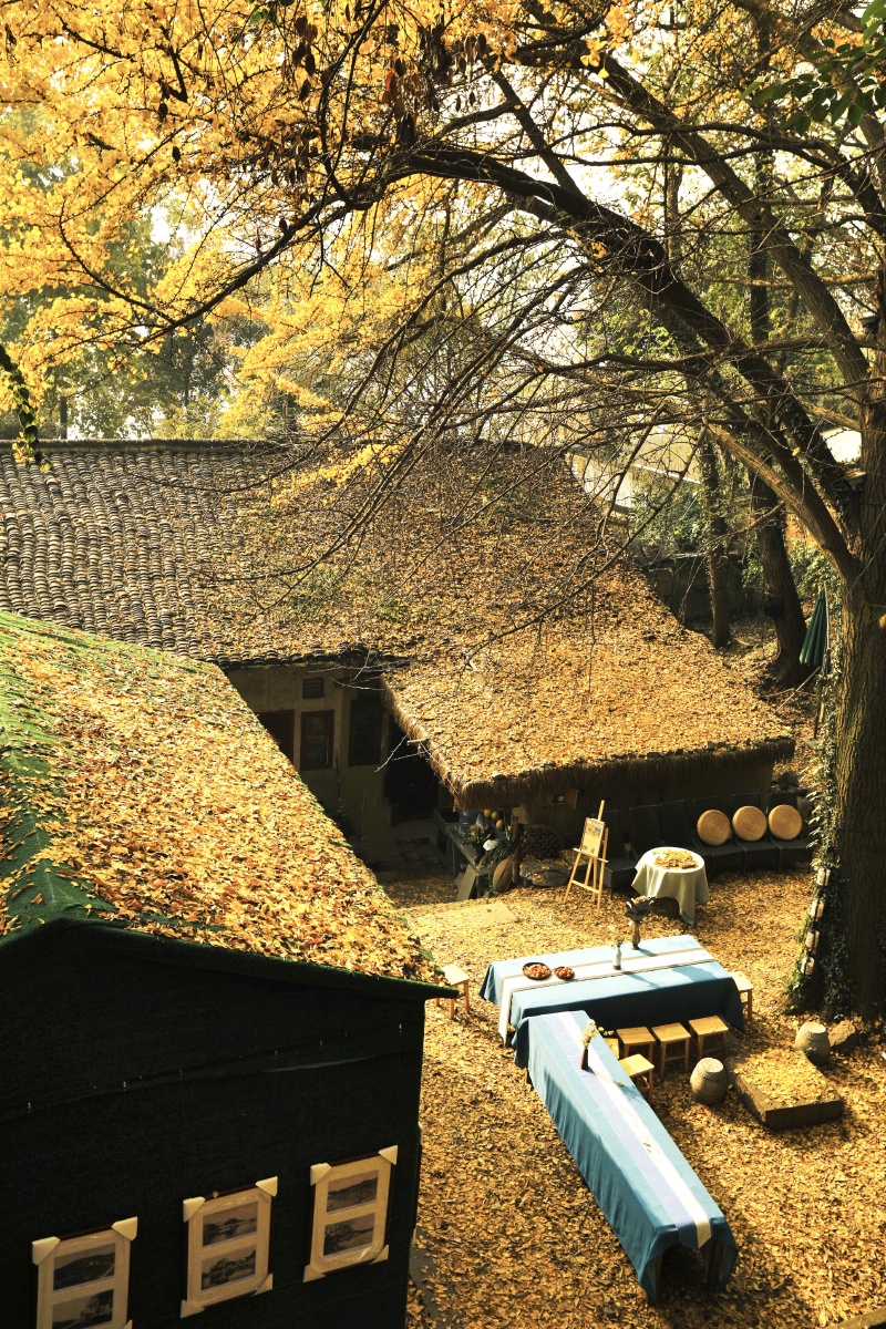银杏之约杭州夕霞小筑