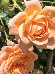 7B64DA51-AAA0-45AE-94EB-7B9EE6E2E4D1/L0/001