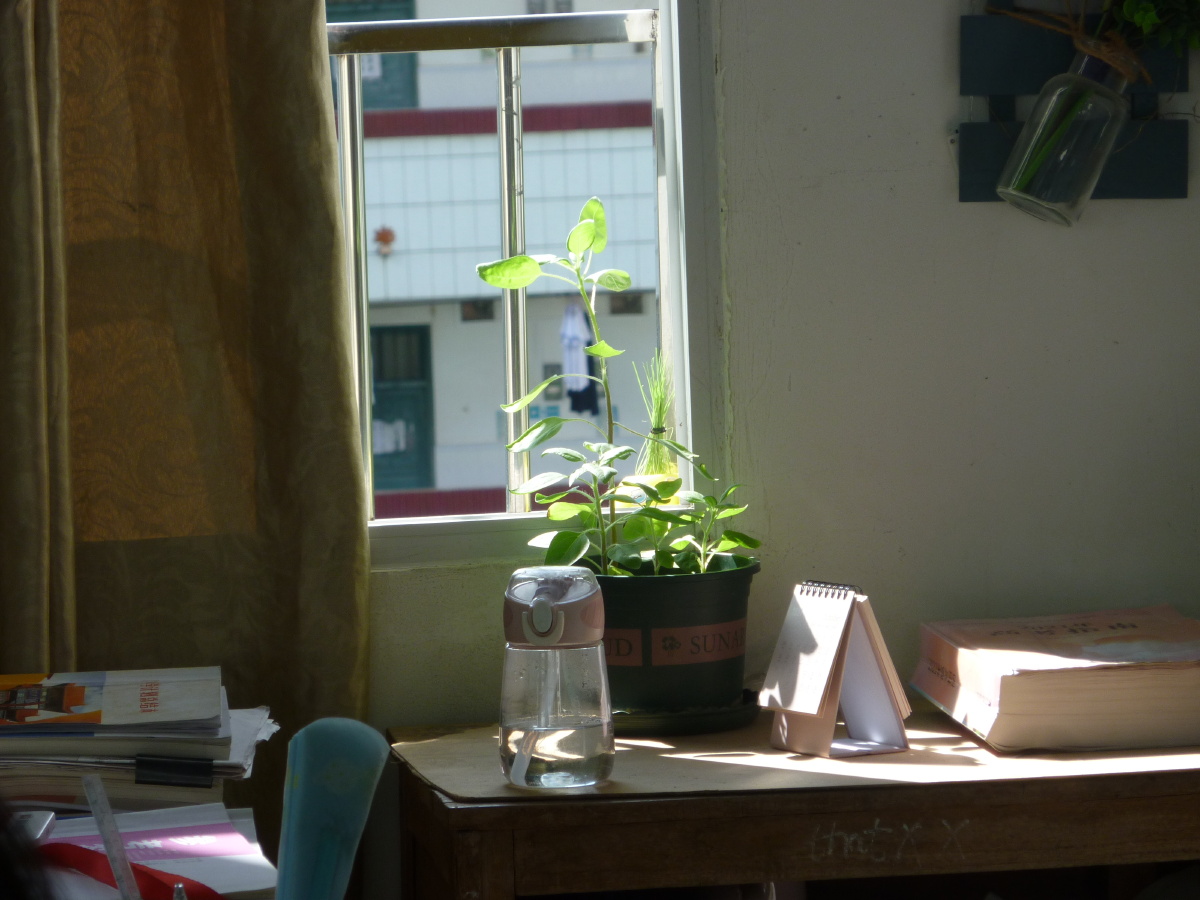 教室的这个角落居然如此美好