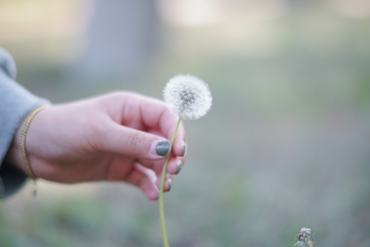 唯美- 随手拍的小于同学 - 图虫