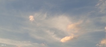 167591