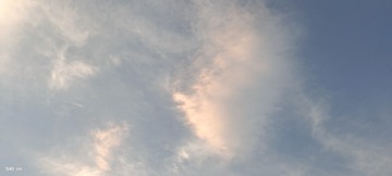 167594