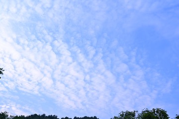 1035585