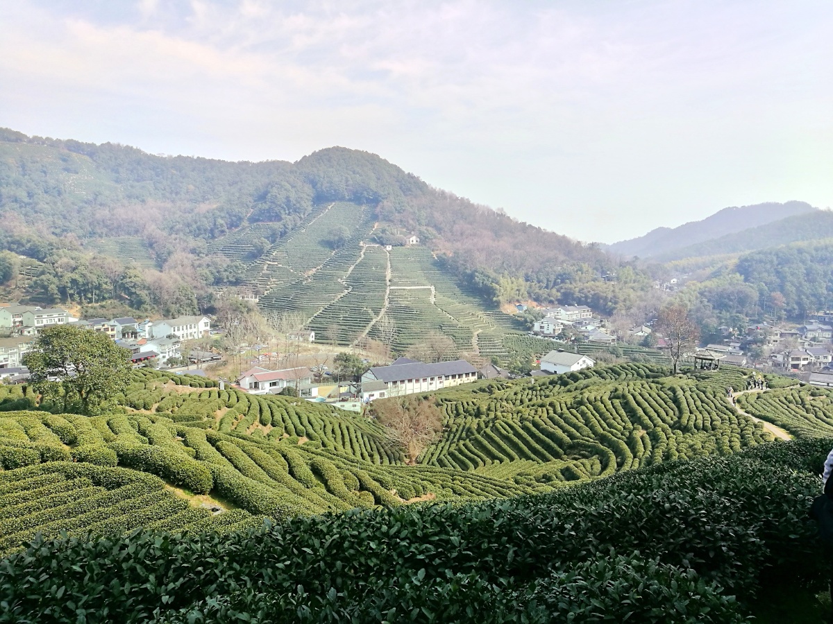 杭州龙井山