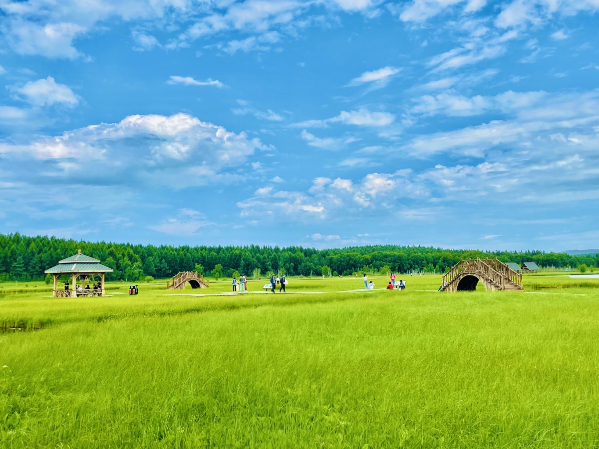 暴雨前的狂欢摄于承德木兰围场塞罕坝国家森林公园御道口国家森林公园