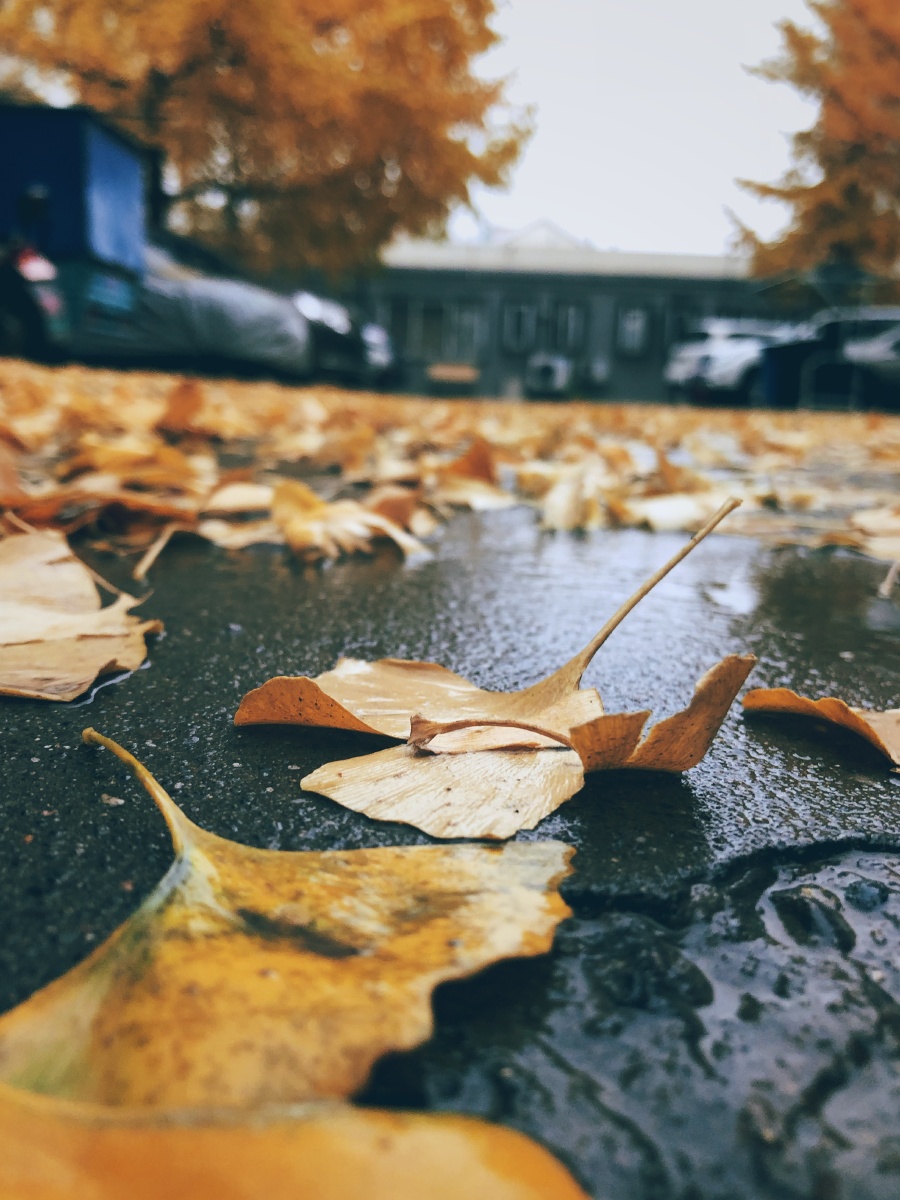 北京今天下雨了