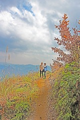 c7