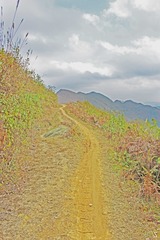 c8